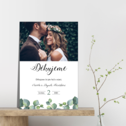 Svatební kartičky s poděkováním - Eukalyptus